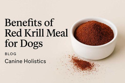 Benefits of Red Krill for Dogs |
