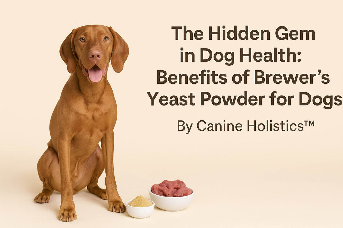 Benefits of Brewers Yeast for Dogs |