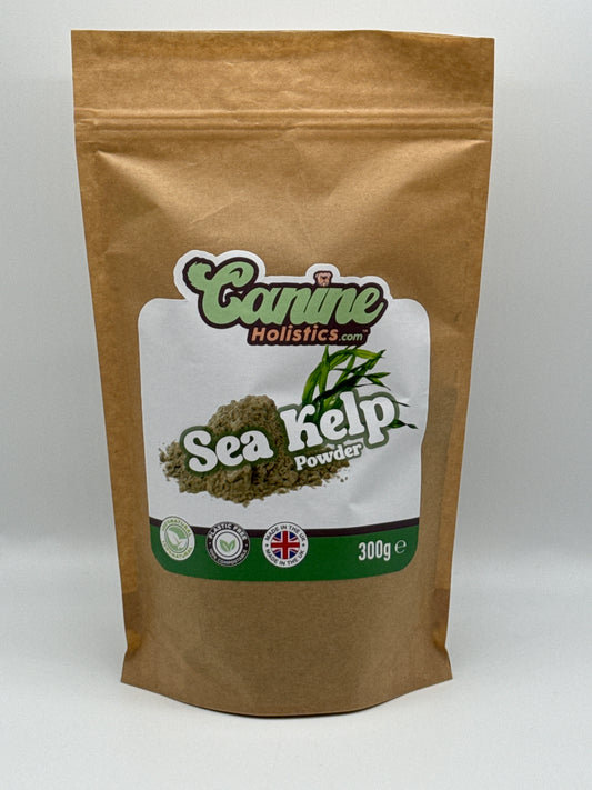 Image containing Canine Holistics™ Sea Kelp Powder for Dogs 300g. Front view of branded product in biodegradable zip bag. 